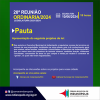 20ª Reunião Ordinária do Primeiro Período 2024